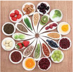 Assorted fruits, vegetables, grains, beans, and seeds arranged in bowls for healthy eating